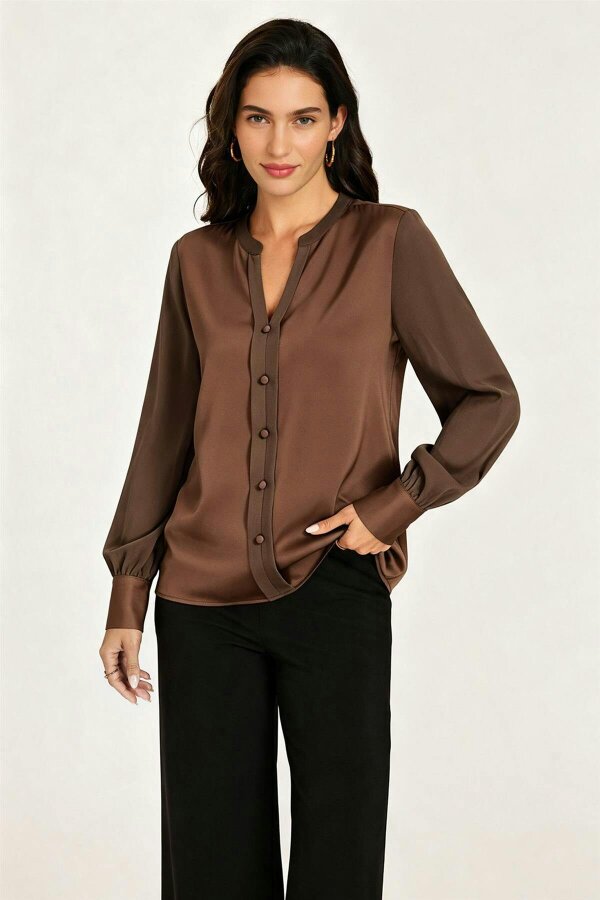 FS Collection Long Sheer Sleeve Satin Notch Neck Blouse Top In Brown
