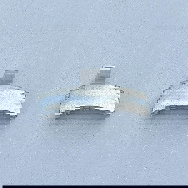 Large Hair Claw for Thick Hair Silver Clasp