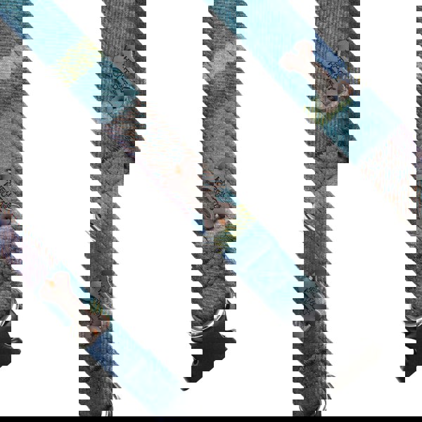 Heritage Traditions Heritage Hounds Tartan Dog Lead and Collar Set