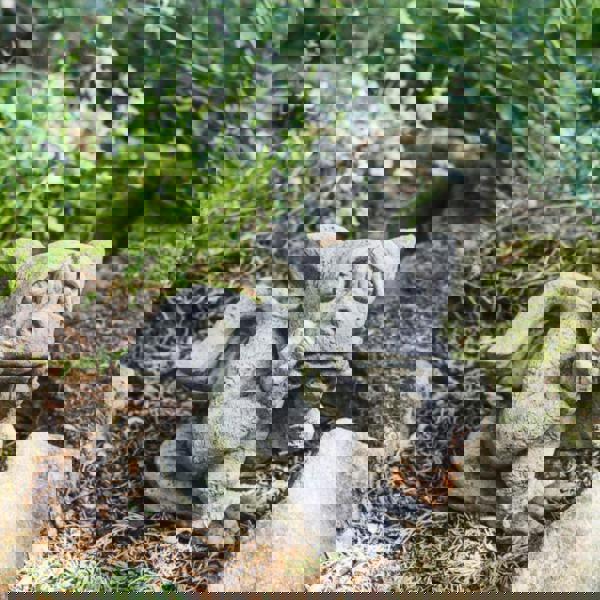 Sad Dragon Mythical Garden Ornament