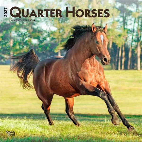 Quarter Horses Calendar 2027, Wall Calendars, Month To View, Animals, Gift