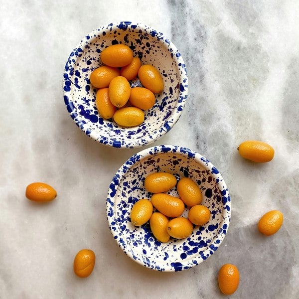 Hot Pottery Nut Bowl Blueberry