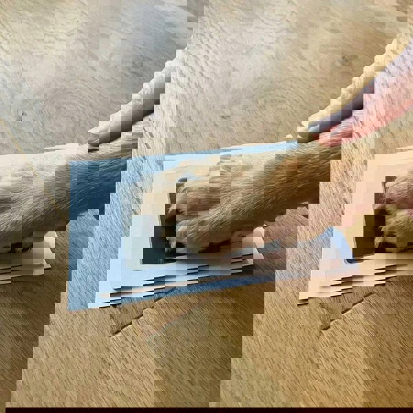 Pet Paw Print Ink Pad Kit. Mess-Free Keepsake for Cats and Dogs