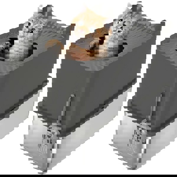 D31-125V00CG