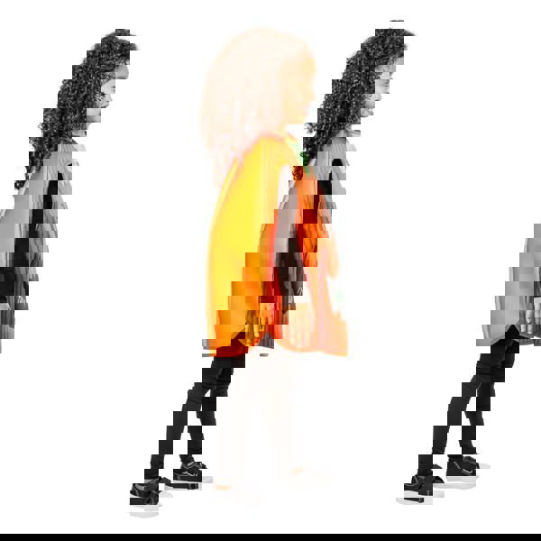 Bristol Novelty Childrens/Kids Pumpkin Halloween Costume - Orange/Black/Green - 