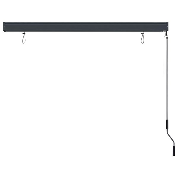 Berkfield Outdoor Roller Blind 160x250 cm Anthracite
