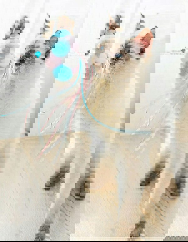 CL23 Cat Teaser-Weilai concept-Weilai Concept