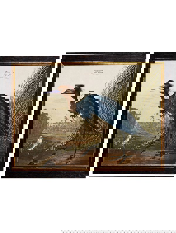 Exceptional Art c.1838 Audubon's Herons