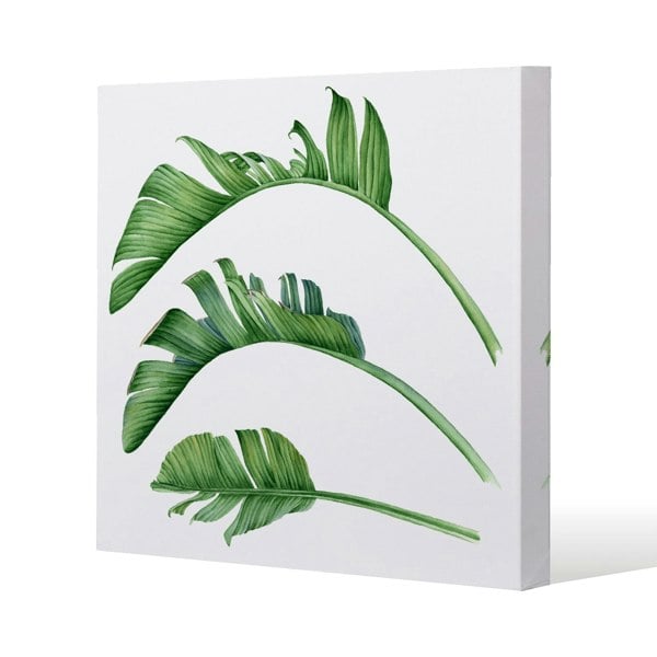 Benjamin Tate Design Triple Botanical Slim Style Canvas Print  90x90cm , 15mm Slim Real wood.