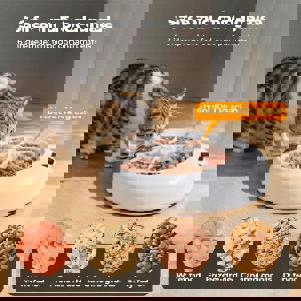 Skylos Pet Feeder Automatic Dog Cat Programmable Fresh Wet Dry Food Dispenser