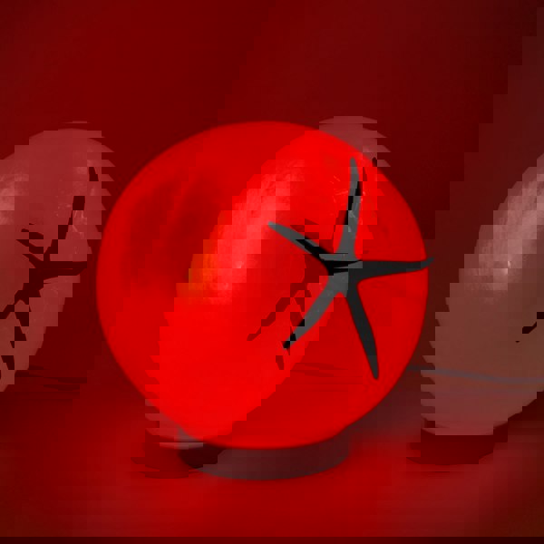 Love Frankie Tomato Lamp - Pendant or Table Lamp