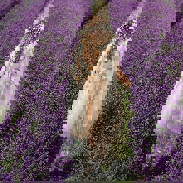 Woman in a white dress walking through a lavender field