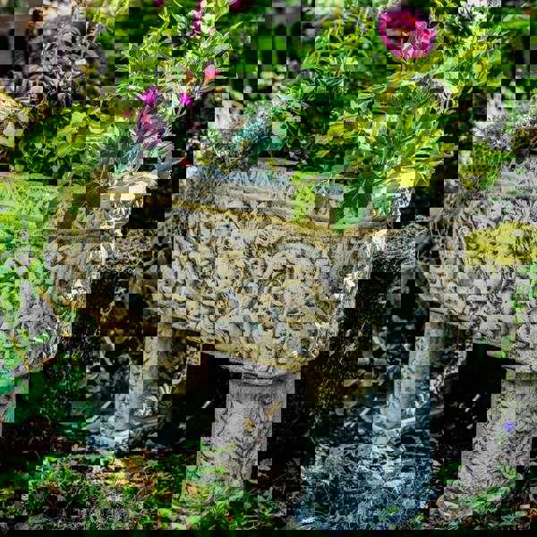 Lion design Stone Troughs on legs