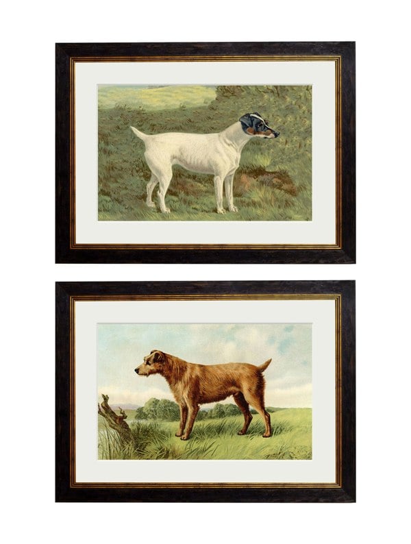 Exceptional Art c.1881 Terriers