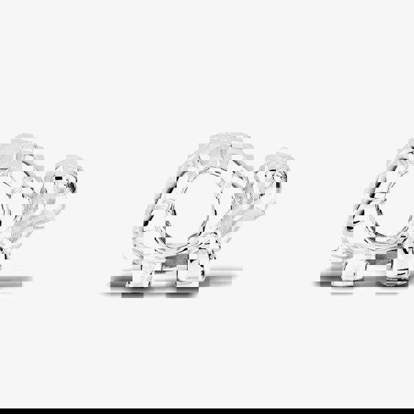 Rosa Lea Tortoise Charm AM-2THB016304