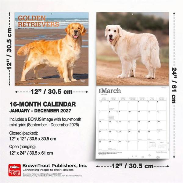 Golden Retrievers Calendar 2027, Wall Calendars, Month To View, Dogs, Gift