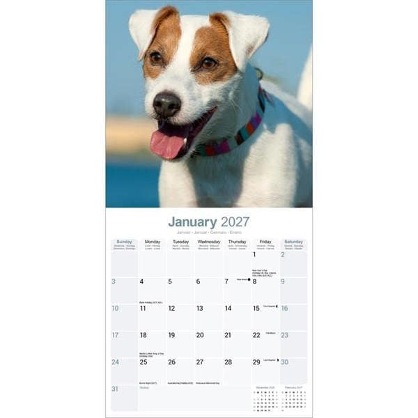 Jack Russell Calendar 2027, Wall Calendars, Month To View, Dogs, Gift