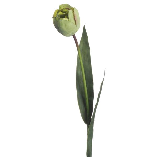 Wyld Haus Set of 3 Artificial Flowers Green Tulip Stems