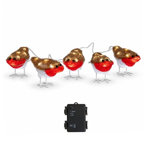 Samuel Alexander Set of 5 Battery Powered Light Up Acrylic Christmas Robins with White LEDs