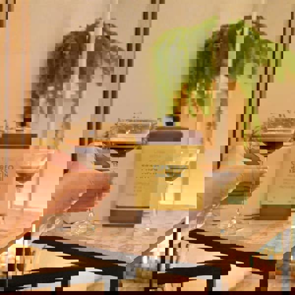 Letterbox Cocktails Cocktail & Glasses Gift Box