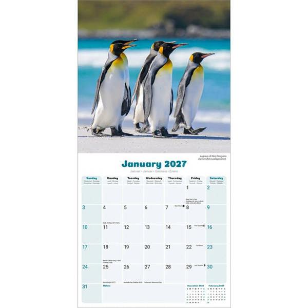 Penguins Calendar 2027, Wall Calendars, Month To View, Animals, Gift