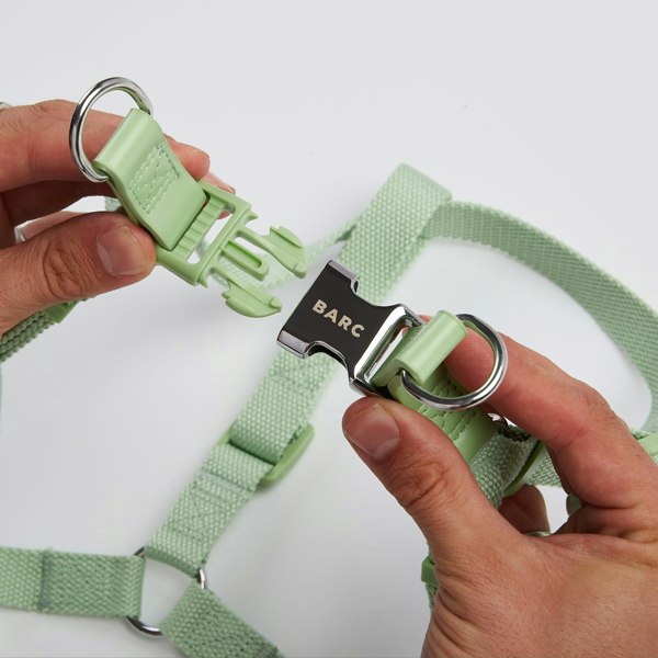 Dog Harness with Green Straps and Chrome 