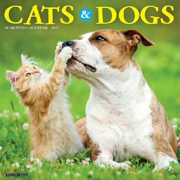 Cats & Dogs Calendar 2027, Wall Calendars, Month To View, Cats, Gift