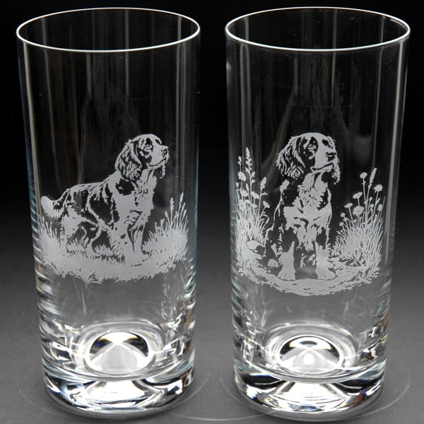 Glyptic Glass Art Springer Spaniel Dog Highball Glass - Hand Etched/Engraved Gift