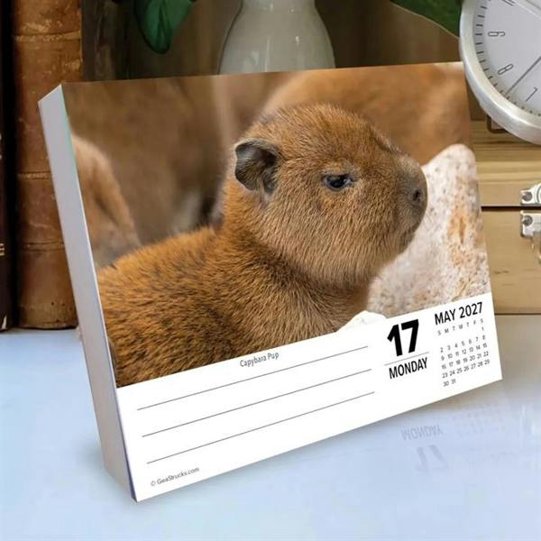 Baby Animals Desk Calendar 2027, Desk Calendars, Day To View, Animals, Gift