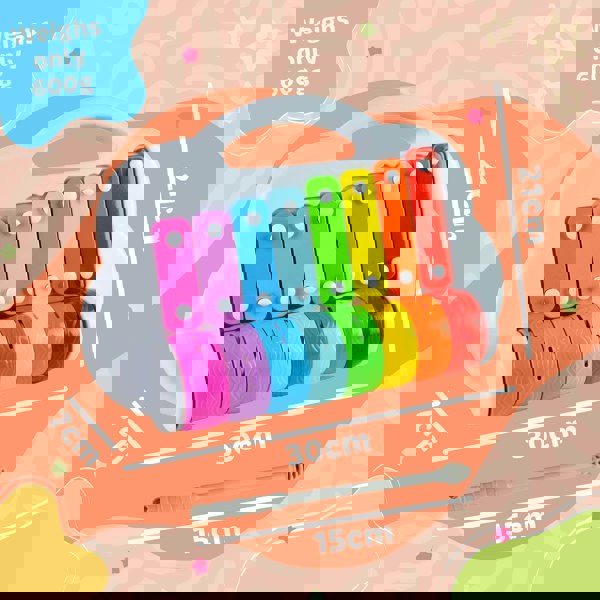 Little Star Rock and Roller Xylophone