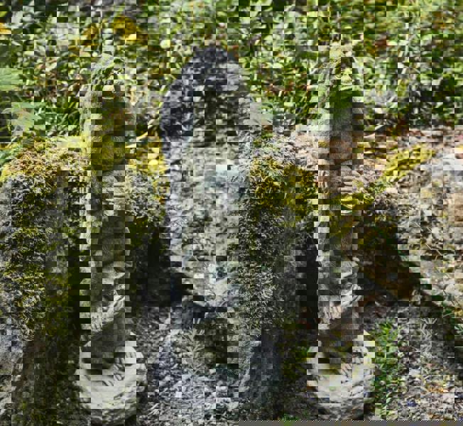 Stack of 3 Wise Monkeys Garden Ornament