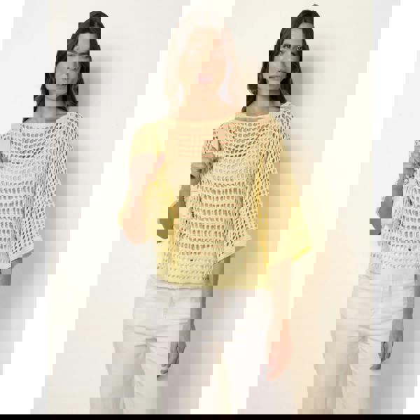 Blue Vanilla Round Neck Net Top