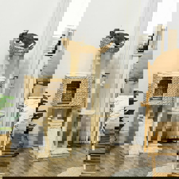 D30-713V70BG