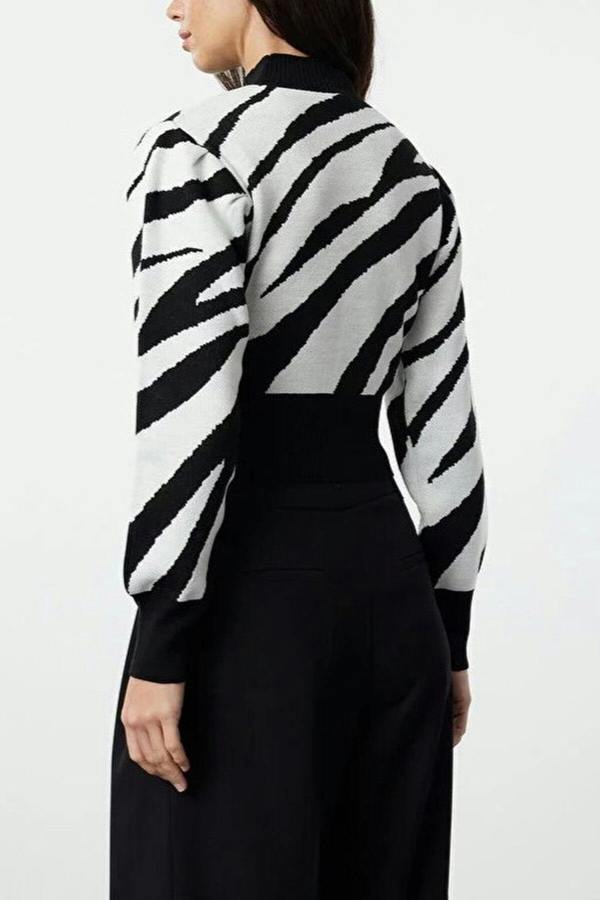 WOVCOR Zebra Print Crop Knit Sweater