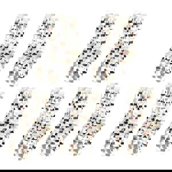 Anyfootwear 5 Pairs White Cat Size 5-9 Fashion Socks High Quality Office Sports Bussiness Long Socks Cotton Solid Colors Skateboard Knitted Casual