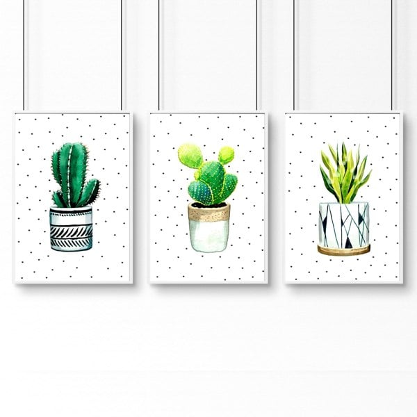 Wall pictures for Kitchen | set of 3 Succulents prints