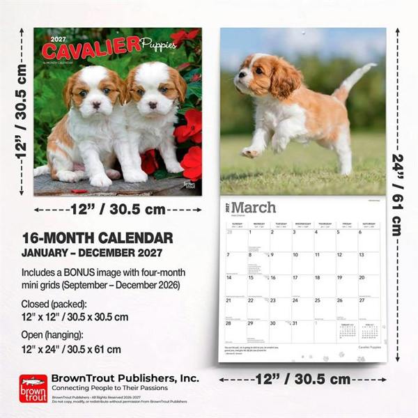 Cavalier King Charles Spaniel Puppies Calendar 2027, Wall Calendars, Month To View, Dogs, Gift