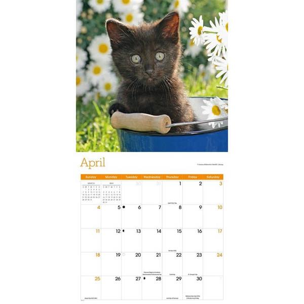 Black Kittens Calendar 2027, Wall Calendars, Month To View, Cats, Gift