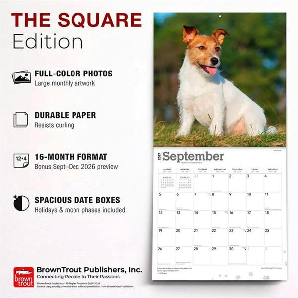 Jack Russell Terriers Calendar 2027, Wall Calendars, Month To View, Dogs, Gift