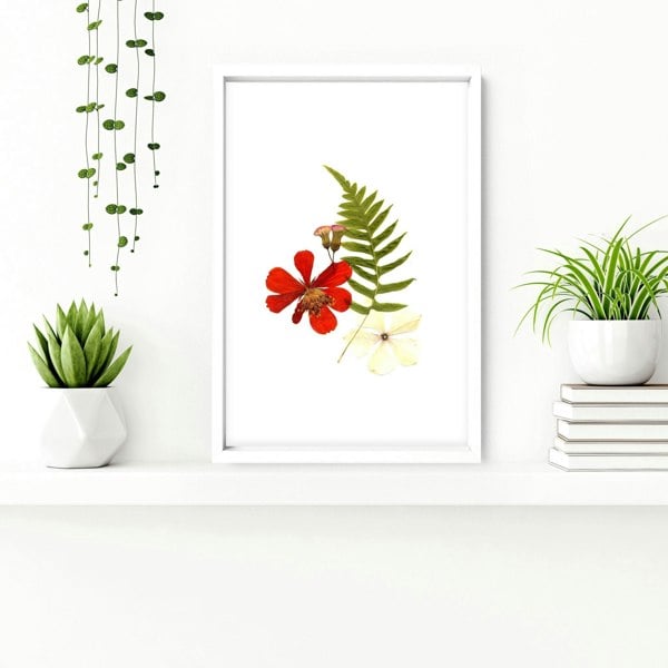 Framed wall art for Bathrooms | set of 3 wall art prints