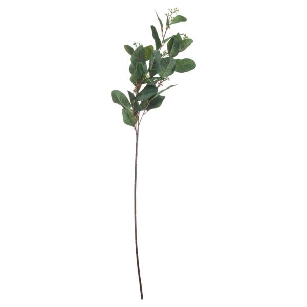 Wyld Haus Set of 3 Artificial Flowers Summer Seeded Eucalyptus Stems