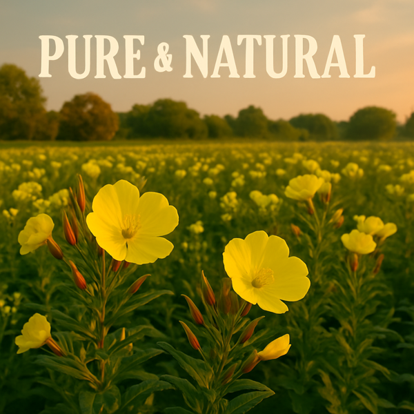 Ol'Vita Evening Primrose Oil | Cold Pressed | Unrefined