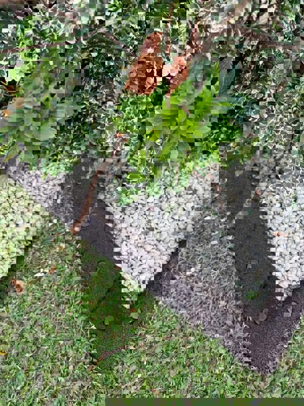 FlexiBorder Outside Corner Box of 2 Brown