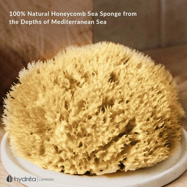 Hydréa London Natural Honeycomb Sea Sponge - size 5-5.5"