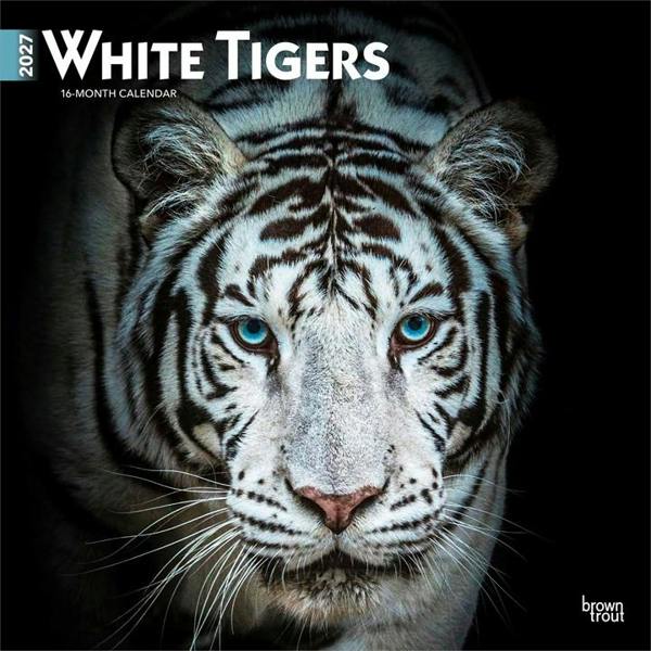 White Tigers Calendar 2027, Wall Calendars, Month To View, Animals, Gift