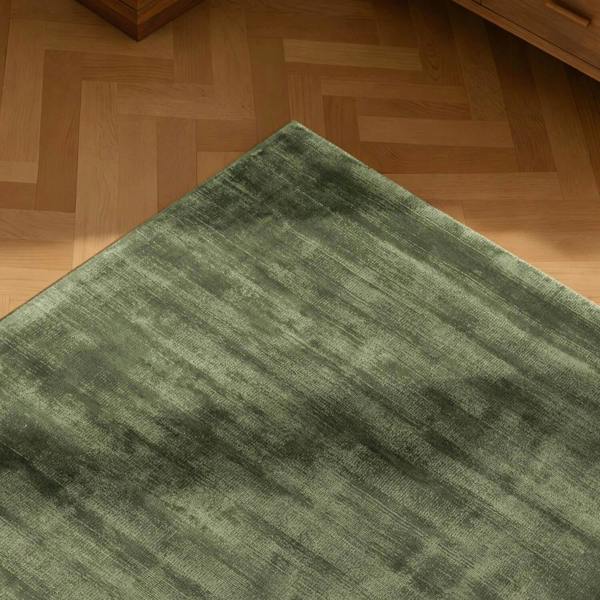 Green rug on a wooden floor