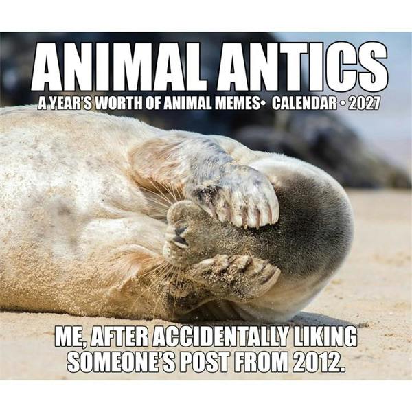Animal Antics Desk Calendar 2027, Desk Calendars, Day To View, Animals, Gift