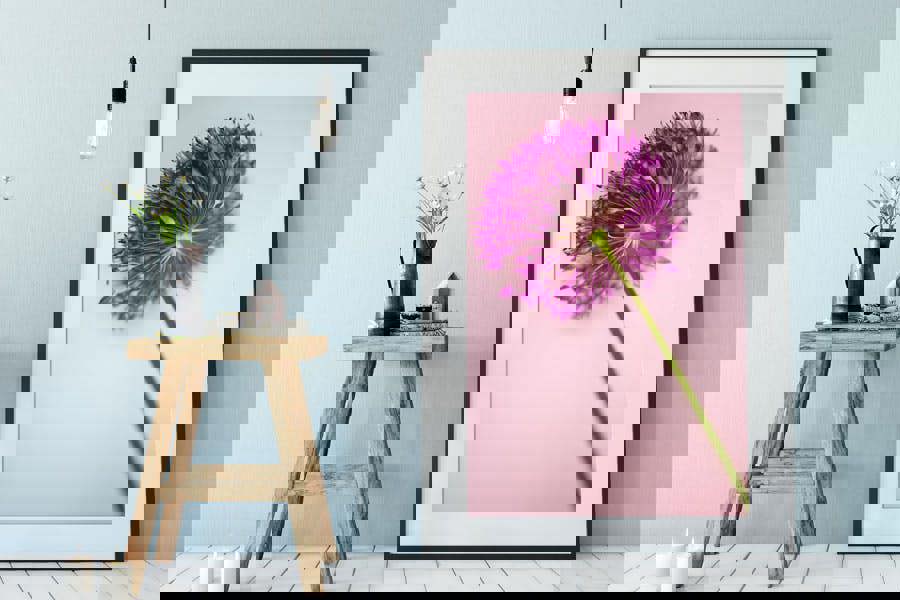 pink allium flower art print