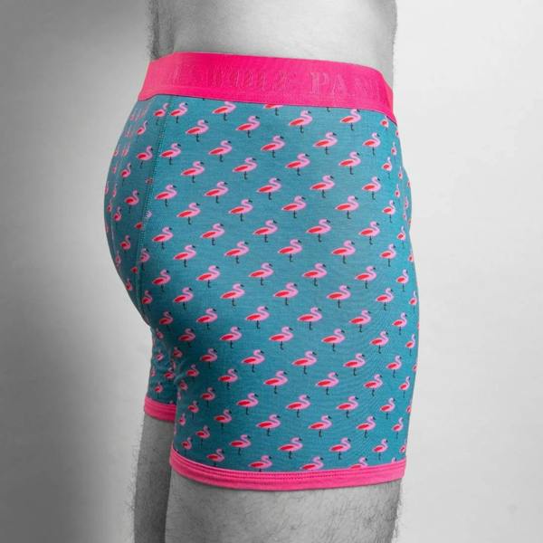 SWOLE PANDA Bamboo Boxers - Flamingos