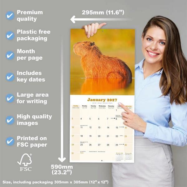 Capybara Calendar 2027, Wall Calendars, Month To View, Animals, Gift